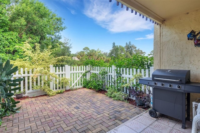 view of patio / terrace with area for grilling