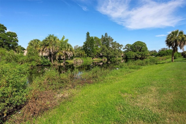 view of local wilderness with a water view