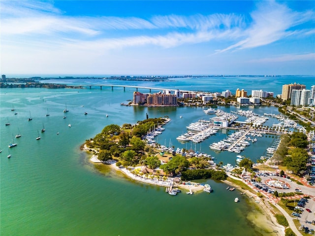 bird's eye view featuring a water view and a city view