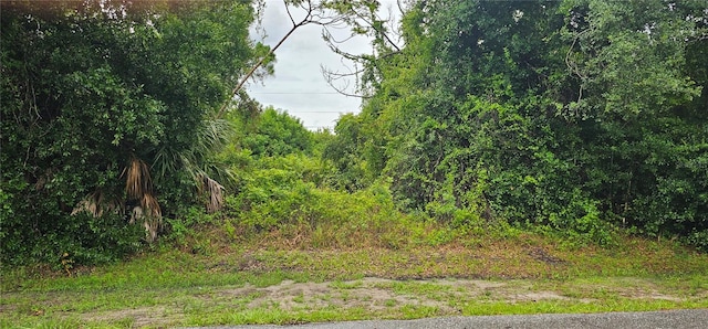 1228 Ardella St, Port Charlotte FL, 33952 land for sale