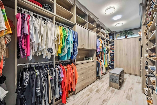 walk in closet with light hardwood / wood-style floors