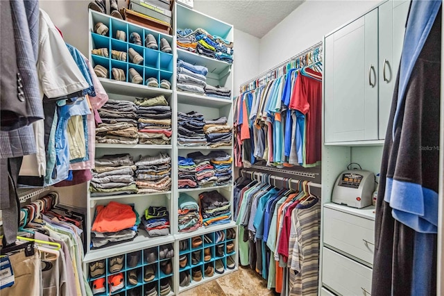 view of spacious closet