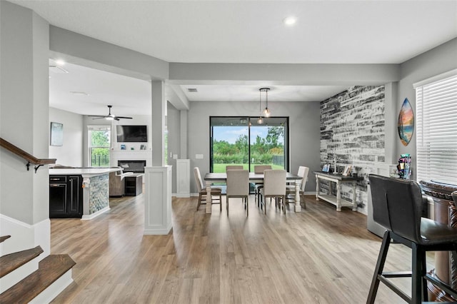 dining room with ceiling fan and light hardwood / wood-style flooring