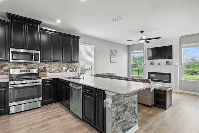 kitchen with stainless steel appliances, ceiling fan, sink, tasteful backsplash, and light hardwood / wood-style flooring