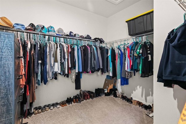 spacious closet with carpet flooring