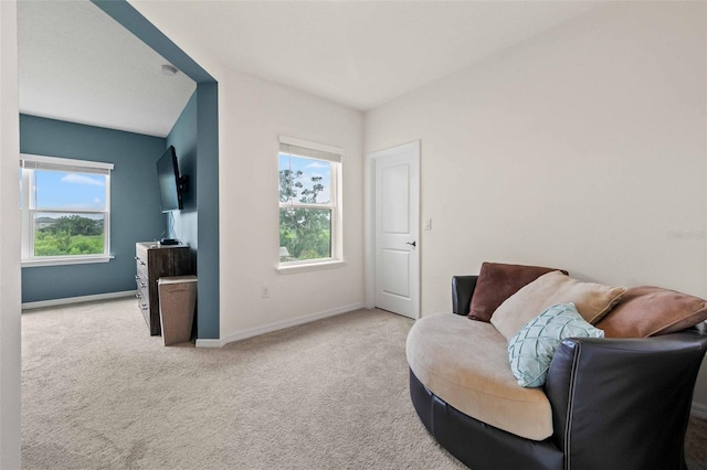 carpeted living room with a wealth of natural light