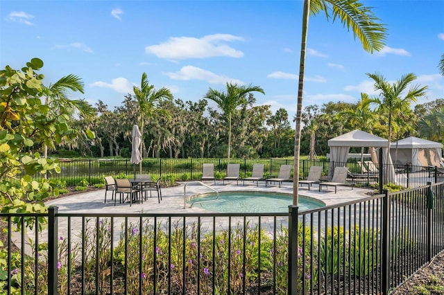 view of pool with a patio