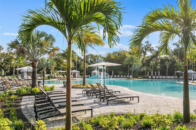 view of swimming pool featuring a patio