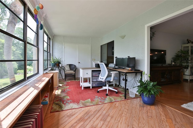 home office featuring hardwood / wood-style flooring