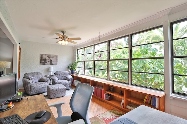 office with ceiling fan, hardwood / wood-style flooring, ornamental molding, and a healthy amount of sunlight