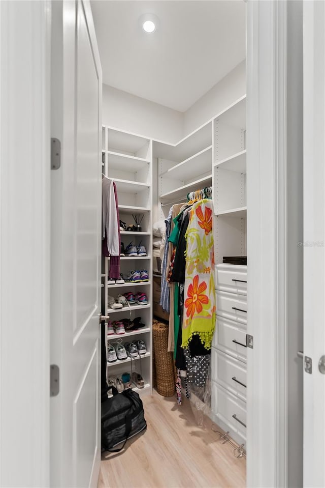 walk in closet featuring light hardwood / wood-style floors