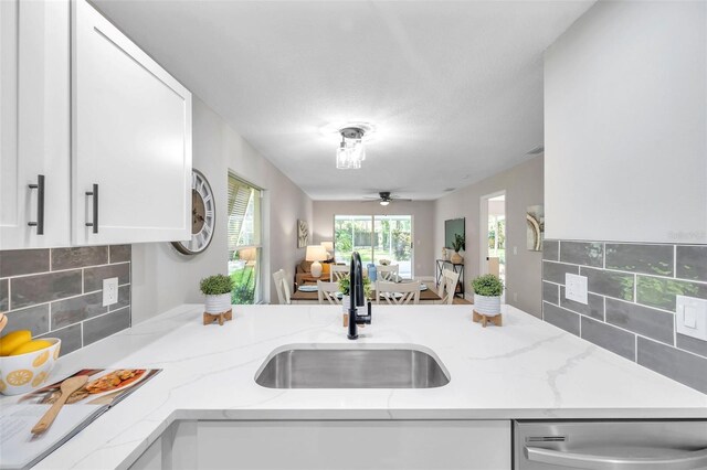 kitchen featuring tasteful backsplash, white cabinets, plenty of natural light, and sink