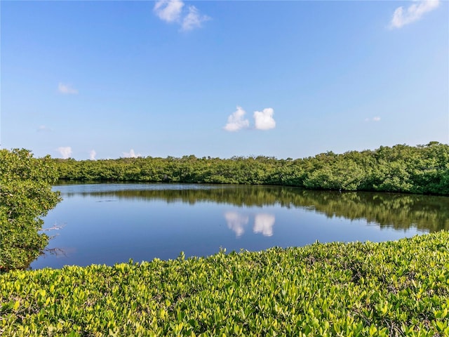 property view of water featuring a wooded view