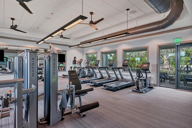 workout area featuring ceiling fan, a paneled ceiling, carpet floors, and a tray ceiling