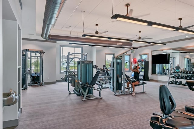 exercise room featuring ceiling fan and carpet flooring