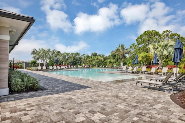 view of pool with a patio