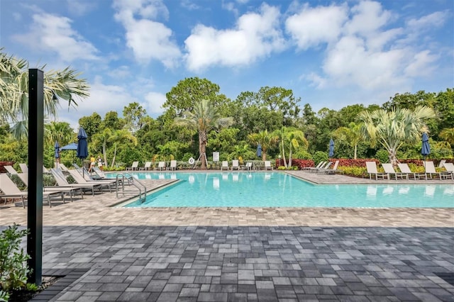 view of swimming pool featuring a patio