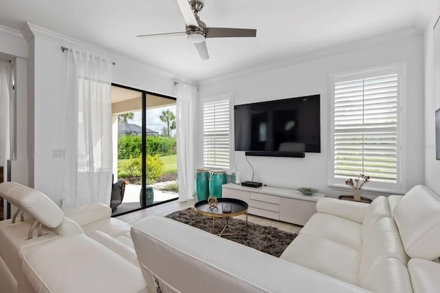 living room with ceiling fan, hardwood / wood-style flooring, and a healthy amount of sunlight