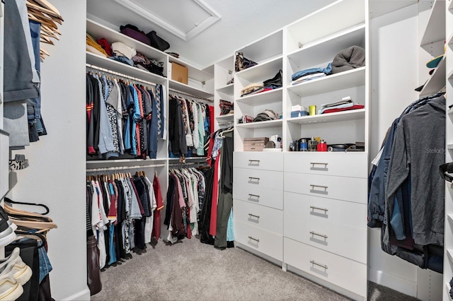 walk in closet with light colored carpet