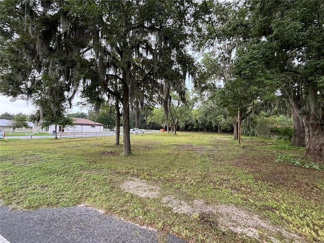 12845 NE Jacksonville Rd, Anthony FL, 32617 land for sale