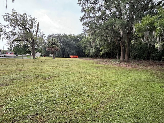 12845 NE Jacksonville Rd, Anthony, FL 32617 - photo 5