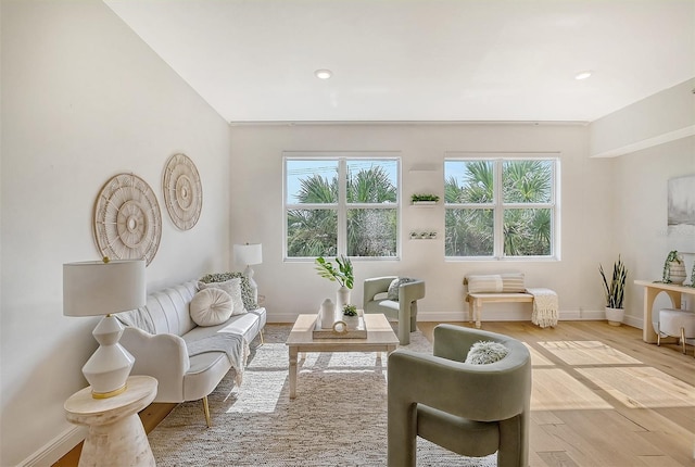 living area featuring a wealth of natural light and light hardwood / wood-style floors