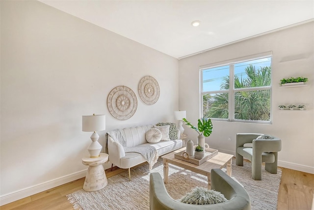 living room featuring light wood-type flooring