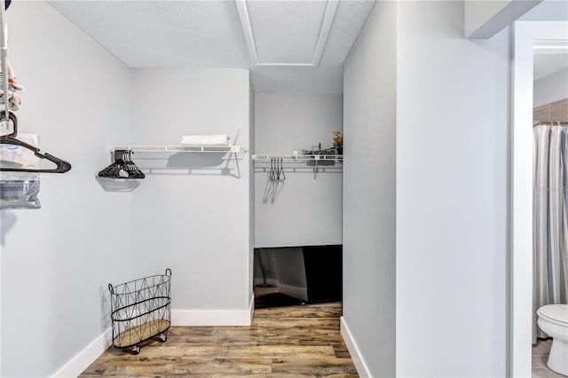 spacious closet featuring hardwood / wood-style flooring