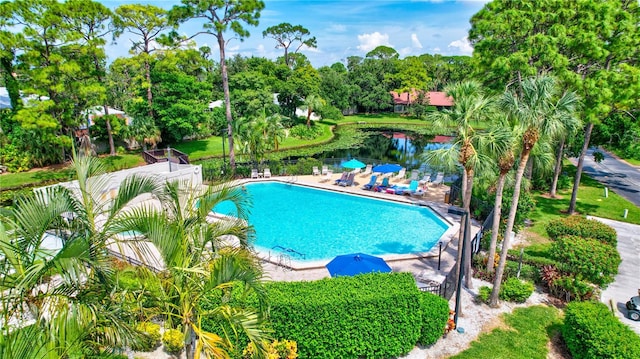 view of swimming pool