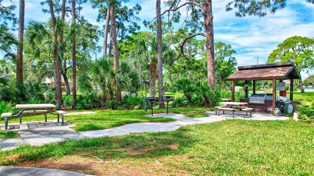 view of property's community featuring a lawn