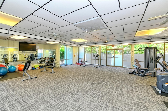 gym with carpet floors, ceiling fan, and a paneled ceiling