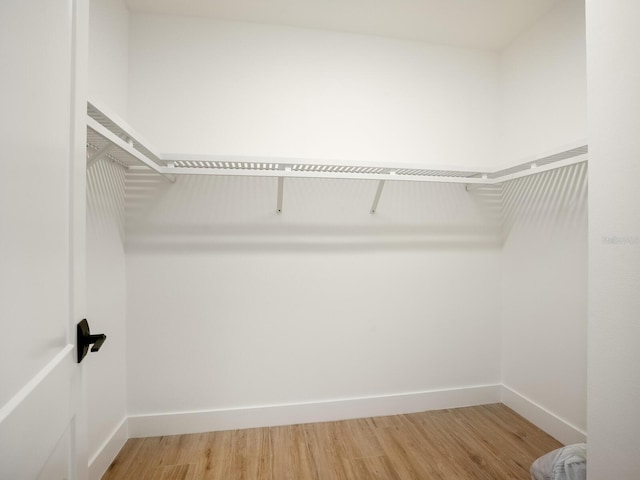 spacious closet featuring hardwood / wood-style floors