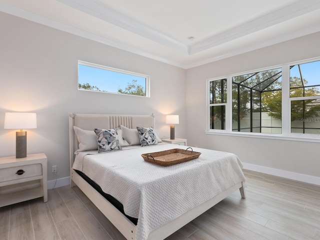 bedroom with wood-type flooring and a raised ceiling