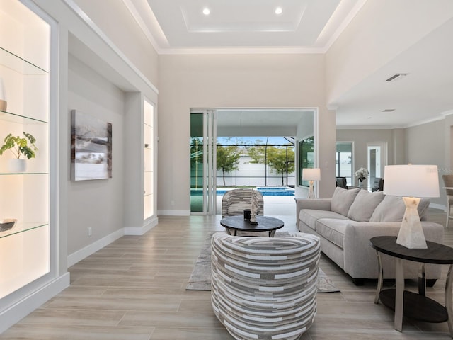 living room with a raised ceiling