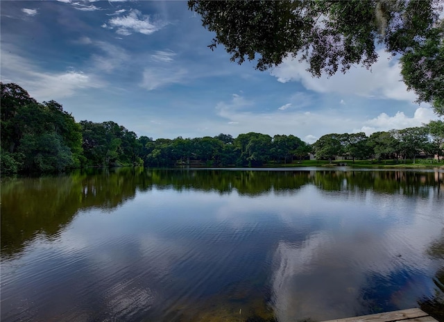 view of water feature with a wooded view