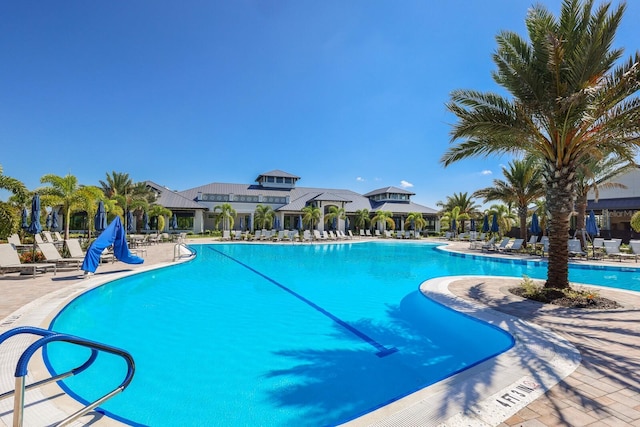 view of pool with a patio area