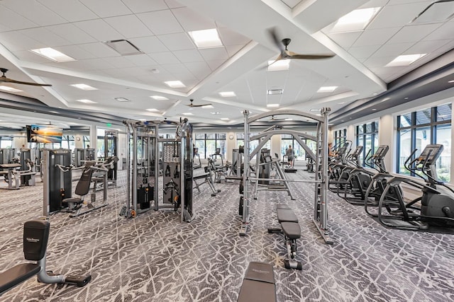 exercise room with a drop ceiling, ceiling fan, and carpet flooring