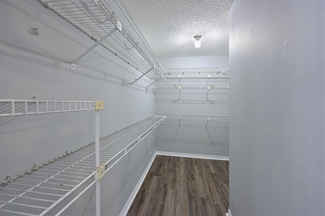 walk in closet with dark wood-type flooring