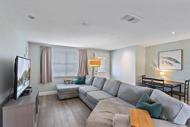 living room featuring wood-type flooring