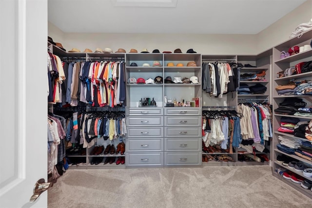 spacious closet with carpet floors