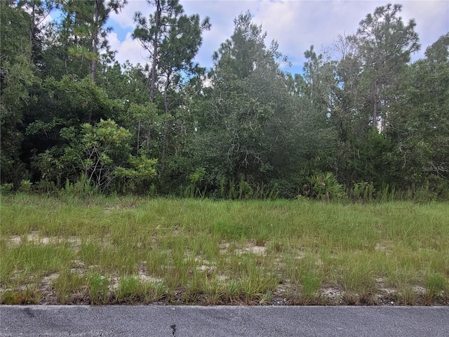 Sw 135 Street, Ocala FL, 34473 land for sale