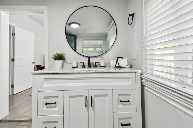 bathroom featuring hardwood / wood-style flooring and vanity