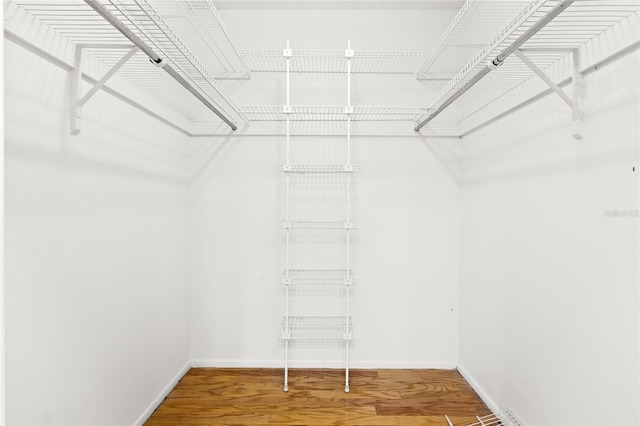 spacious closet featuring wood-type flooring