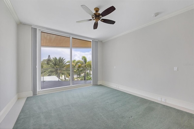 unfurnished room featuring carpet, ceiling fan, floor to ceiling windows, and ornamental molding