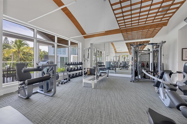 workout area with carpet floors and a high ceiling