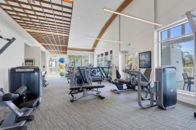 gym with carpet, a towering ceiling, and a healthy amount of sunlight