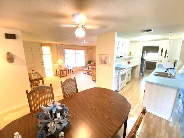 dining space featuring ceiling fan, light hardwood / wood-style floors, sink, and a textured ceiling