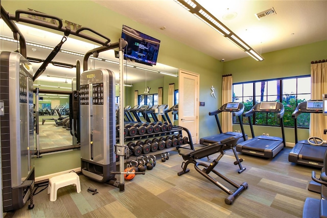 gym featuring carpet floors