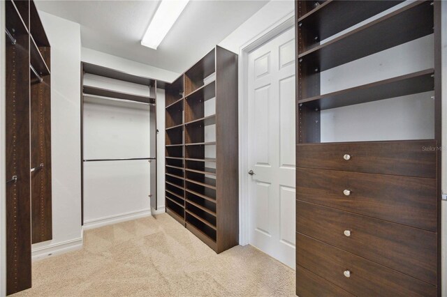 spacious closet with light carpet