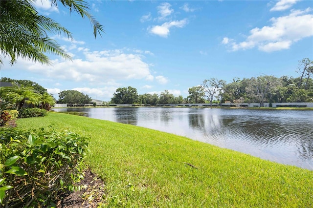 view of water feature